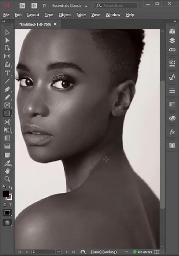 How To Make Photos Black And White In Adobe inDesign #shorts #short #shortvideo #tutorial