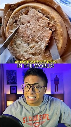 Maggot Cheese - Casu Marzu 🧀