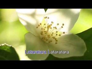 MAPA with Lyrics By:SB19