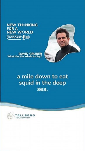 What Has the Whale to Say? / with David Gruber, Project CETI