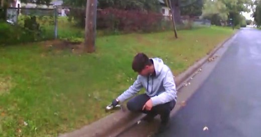 Reviving a squirrel with CPR