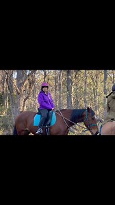 Our Bush Ranger ride is a 2.2 hour scenic bush ride, with amazing mountain views. #horseridingtasmania #horsestasmania #trailrides #horseriding | HORSE RIDING TASMANIA