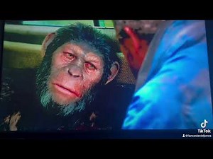 Dawn of the planet of the apes Koba shot Caesar and Caesar beat Koba back