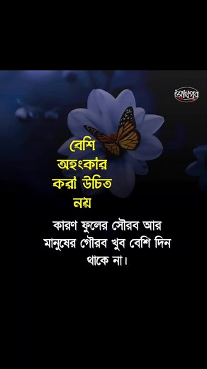 Rainbow.B (@rainbow.b_366)’s videos with Dj Unityyy Remix Santuy - DJ ALI