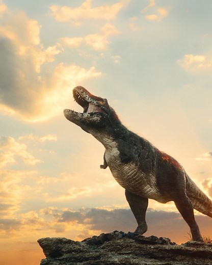 LAST CHANCE TO SEE T.REX! For over a century, dinosaurs have...