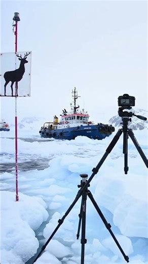 The sound of the Arctic is so peaceful 😌 #Nature