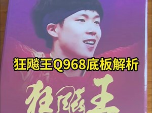 红双喜 狂飚王Q968乒乓球底板解析