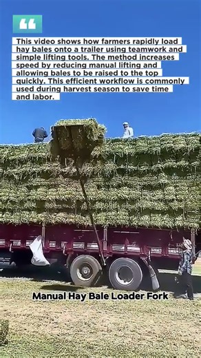 Fast Hay Loading Technique | Extreme Farm Efficiency #hayloading #farmwork #agriculture
