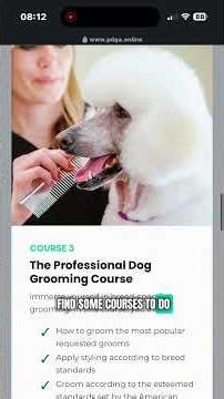 How To Become a Dog Groomer