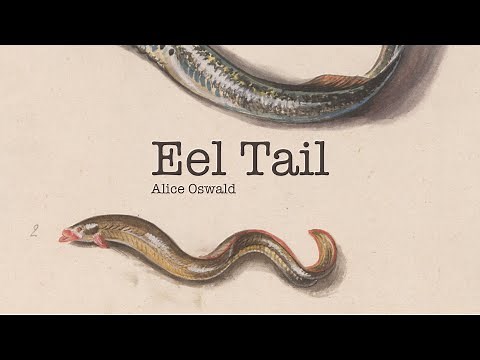 Poem Analysis: 'Eel Tail' by Alice Oswald