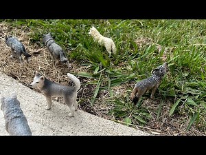 The Wolf Pack Episode 1 (schleich wolf series)