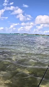 77K views · 1.1K reactions | Joli batarde à terre at Cannonier lor ene ti lure ressemblant ene ti rouget.. Fish on!!  | Nz Fishing - Mauritius | Facebook