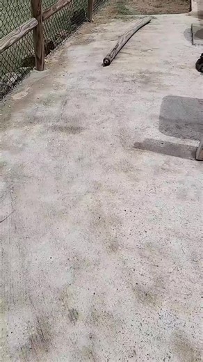 HVAC System Not Cooling? Troubleshooting Tips