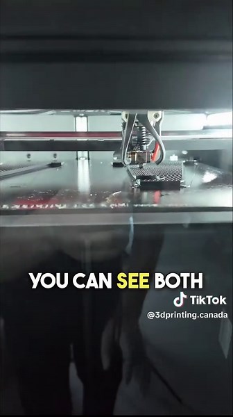 Dual Models Printing with Visionminer 22IDEX V3