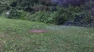 What a great way to start the day. Sure Shot Exploding Targets. You can follow them on social media and through their website #boom #boom @sure_shot_exploding_targets | Reaper Outdoors | Facebook