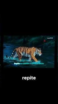 The Last Roar: The Tragedy of the Sumatran Tiger 🐅 | True Drama Documentary The Circle of Life and.