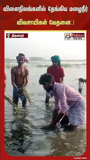 5 ஆயிரம் ஏக்கர் விளைநிலங்களில் தேங்கிய மழைநீர்.. ஏக்கருக்கு ரூ.15,000 வரை நஷ்டம் என விவசாயிகள் வேதனை