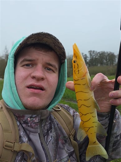 Pike fishing with a pike ! 🐊 #pike #Outdoors #fishing