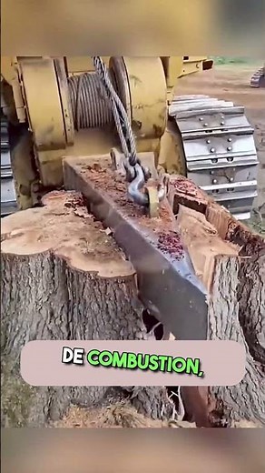 🔥 Le secret étonnant pour faire disparaître une souche d’arbre ! 🌳
