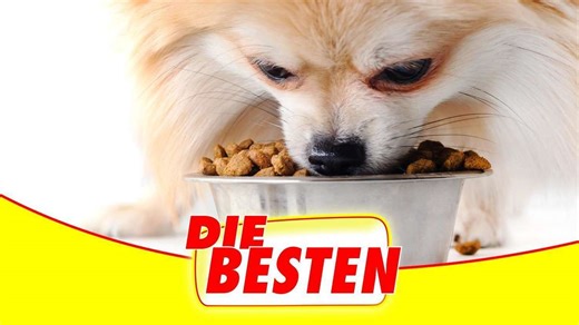 Das beste Hundefutter – günstige Marken unter den Testsiegern