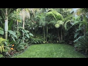 Small Tropical Gardens around the Globe