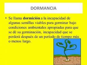GERMINACION Y DORMANCIA VERDADERA