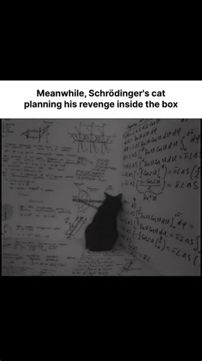 Physics07 | Schrödinger’s Cat States: A famous thought experiment in quantum mechanics illustrating the concept of superposition, where a cat inside a... | Instagram
