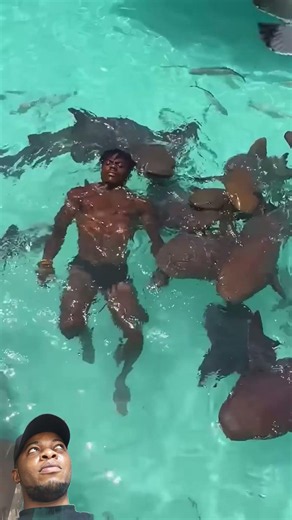 ishowspeed love shark fish type #viral #funny #love