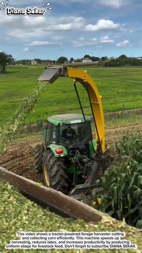 :Efficient Corn Harvesting with Tractor Forage Harvester | Modern