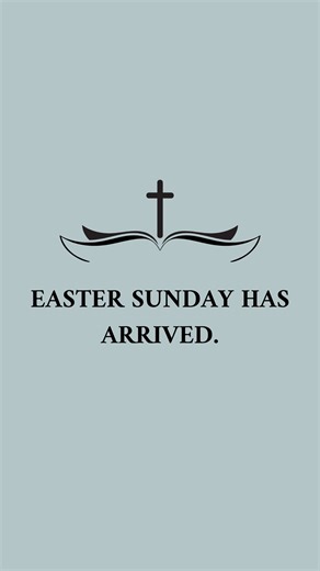 10K views · 150 reactions | Bible Study on Reels | Facebook