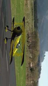 RealFlight Evolution Python Biplane 4k60 fps