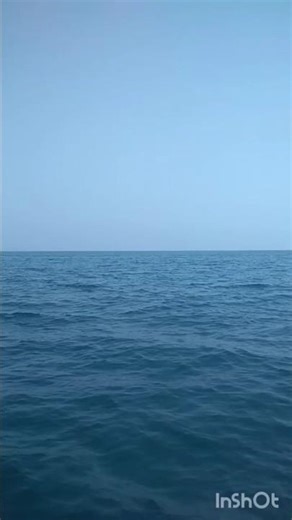 Watching Land from Water is Real Thrill😱 #nature