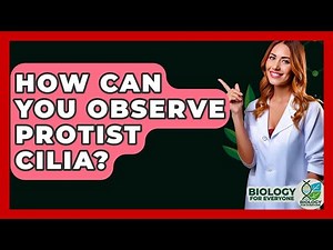 How Can You Observe Protist Cilia? - Biology For Everyone