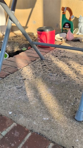 This is the ugliest bug I've ever seen and has been relocated outside. 😳 | John Debacker