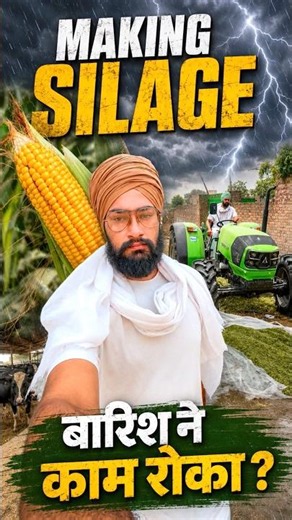 Silage making for dairy farm-vlog🌽 . Rain stopped the work🌧️ . Silage pit cleaning and compaction