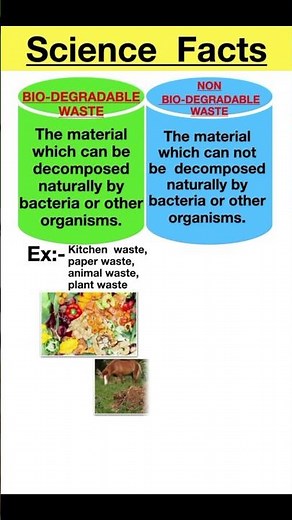 Science shorts (Bio-degradable and Non-biodegradable Waste) #science facts #chemistry