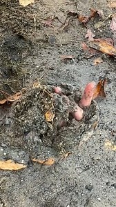 I Couldn't Believe This Worked! 😳 🎬 This video was produced by Network Media and Steve J | Lights Camera Action