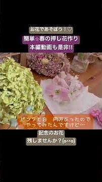 【押し花】【簡単工作】卒業式の花束、捨てないで！思い出の花を枯らさないための保存術⭐︎元インテリア雑貨店員より＾＾ #ハンドメイド #スイートピー #手作り工作