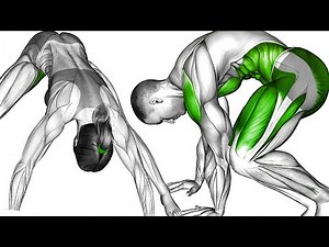 Unlock Your Hidden Strength | Daily Training Flow