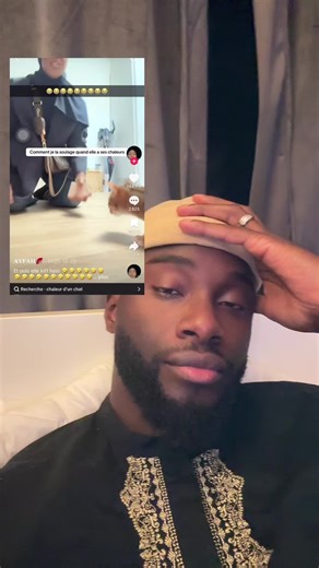 Bébé chat en chaleurs : moments drôles et surprises