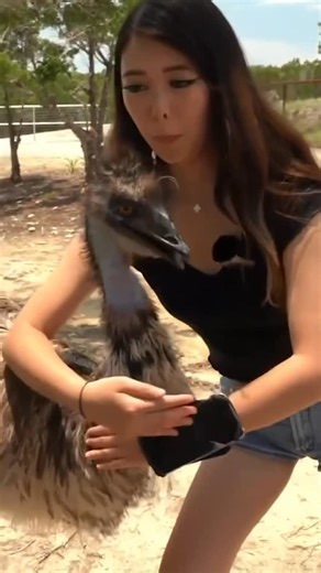 maya on Instagram: "ExtraEmily gives Stompy a hug 🫂😅 #emu #extraemily #alveus #mayahiga #streamer #reels #fyp"