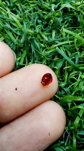 Nature Focus | Look Closer, Nature Will Surprise You