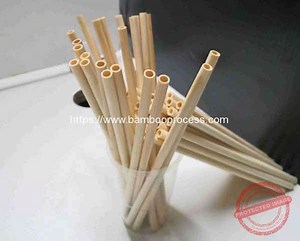 Automatic Disposable Drinking Bamboo Straw Production Line - Bamboo Processing Machine