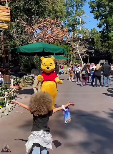 Disney Character Hug Rule Explained in a Funny Way