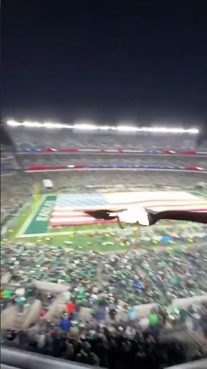 Bald Eagle Flies Through The Stadium