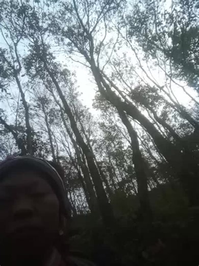 tik tok USA (@tiktokusa024)’s videos with original sound - tik tok USA