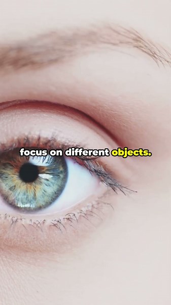 Why You Never See Yourself Blink 👁️
