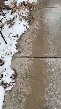 What is ice melt and how to use it #lawncare #snow #howto