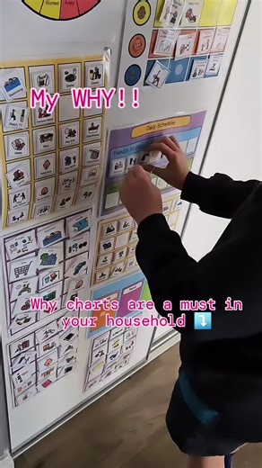 🌼Mighty Bites: Our Why🌼 At Mighty Bites, our mission goes beyond offering healthy recipes and fitness tips. For me, it's deeply personal—it's about helping my kids navigate their daily lives with ease and joy. 💕Why Regulation Matters💕 - Improves Well-Being: Helps kids feel happier and more focused. - Builds Resilience: Teaches them to manage their emotions and energy levels. - Promotes Confidence: Empowers them to take control of their own well-being. 🥳The Role of Regulation Charts - Visual