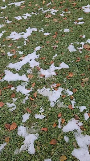 One quick test today. | Brockville Boomerang Club